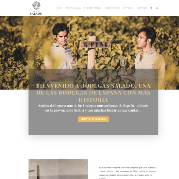 Bodegas Salado