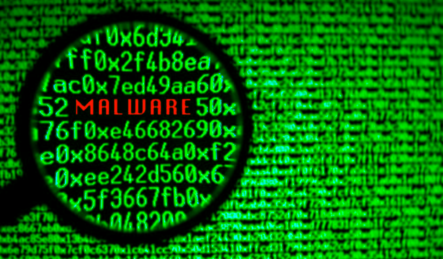 Mi WordPress tiene un malware. ¿Que hago ahora?